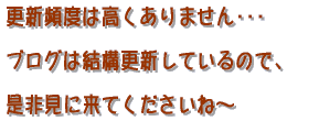 �ЂƂ��ƁF�X�V�p�x�͍�������܂��񥥥 �u���O�͌��\�X�V���Ă���̂ŁA ���񌩂ɗ��Ă��������ˁ`